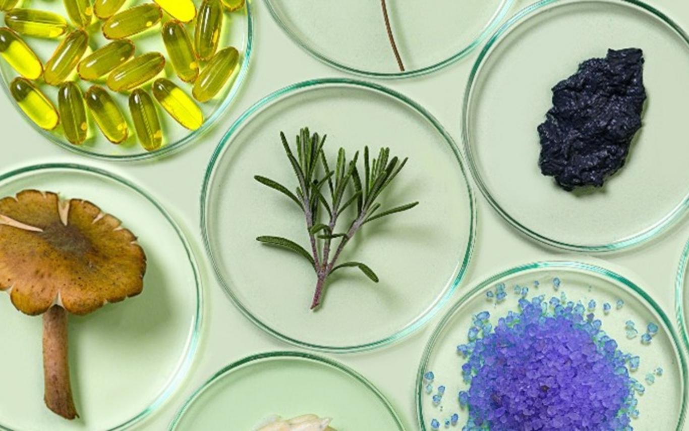 Petri plates containing biological material